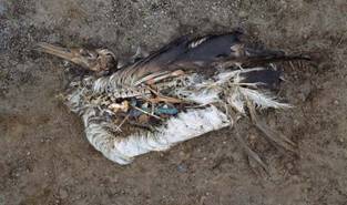 ����������� ����� � ����� ������